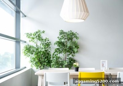 极速赛车进阶秘籍：捕鱼达人小游戏玩家必看的系统训练法