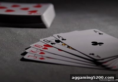 探索真人桌游的社交魅力：从捕鱼达人小游戏到专业策划