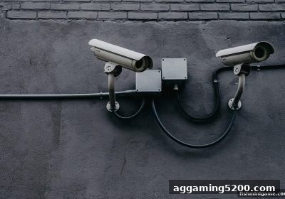 捕鱼达人小游戏中提现卡顿的真相与高效应对指南