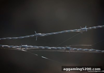 捕鱼达人小游戏视角下的菲律宾娱乐牌照体系深度解读